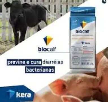 BIOCALF 01 KG - 200 DOSES